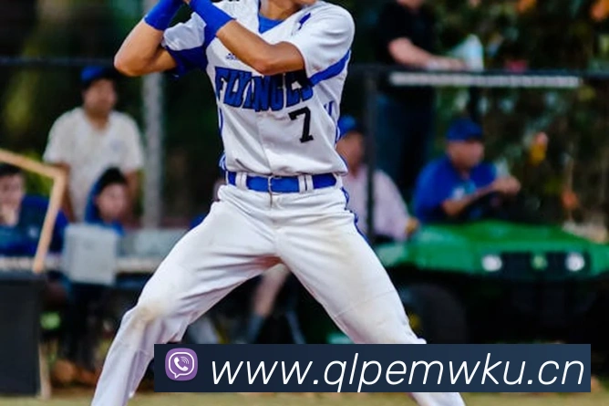 乐鱼网页版登陆入口平台生态图