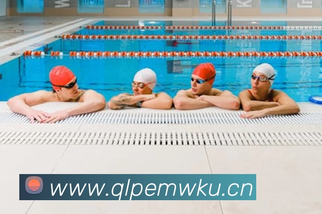 乐鱼网页版登陆入口APP 封面图